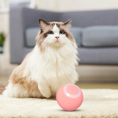 2 In 1 Simulated Cat Hunting Toy Creative Automatic Rolling Smart Ball Interactive Cat Chasing Toy for Cat Boredom Relief