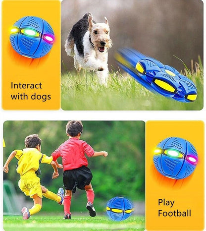 Dog Flying Saucer Ball -Light OwowPet Pet Magic Ball Portable Birthday Samll Dog Toy Balls Interactive Herding Decompression Kids Toys((Blue)